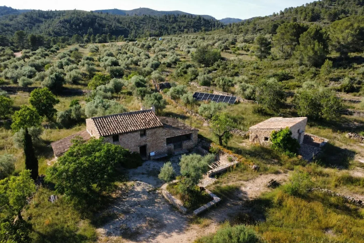 Finca rústica a la Ribera d'Ebre envoltada d'oliveres i natura