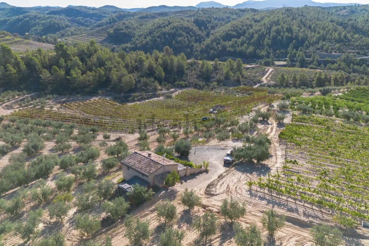 Finca de 10 hectàrees al Priorat amb casa de camp reformada